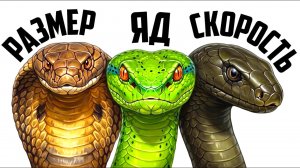 Все ЯДОВИТЫЕ ЗМЕИ за 8 минут