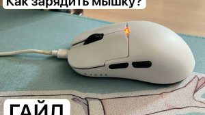 САМЫЙ! Универсальный гайд КАК ЗАРЯДИТЬ МЫШКУ - Я в шоке…