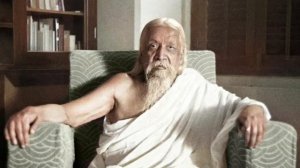 читаю Шри Ауробиндо Глава IX. Сарасвати и ее спутницы  « Тайна веды» 1 часть