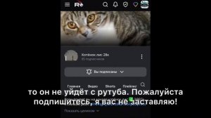 Подпишитесь на Котёнка Лиса28К, Пожалуйста 🙏