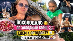 ПОХОЛОДАЛО 😉 ПП холодный борщ | едем с Евой к ортодонту | что делать с волосами | шторм ⛈️
