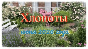 Хлопоты июня 2026