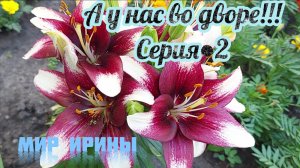 А У НАС ВО ДВОРЕ● СЕРИЯ ●2