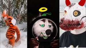 🍪фурри из тик тока🍪(хз какая часть)