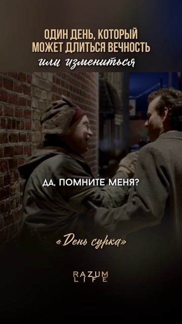 «День сурка»