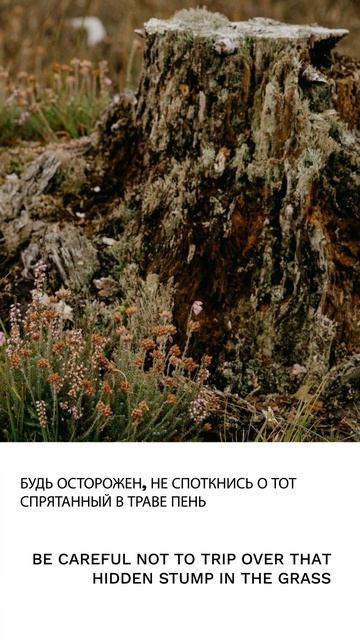Пень смотреть онлайн