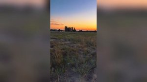 Закатное Поле В Блёстках Хит