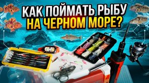 РОКФИШИНГ С НУЛЯ 🐬 КАК ПОЙМАТЬ РЫБУ НА ЧЕРНОМ МОРЕ