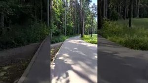 Первый выход в эфир/Интернет зависает/Небольшая прогулка по лесу/