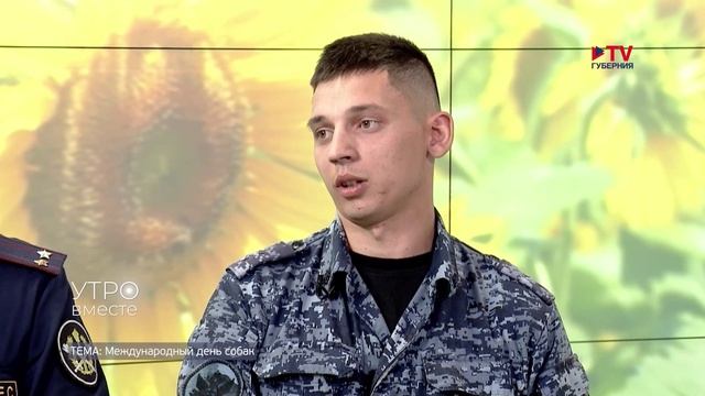 СМИ о нас