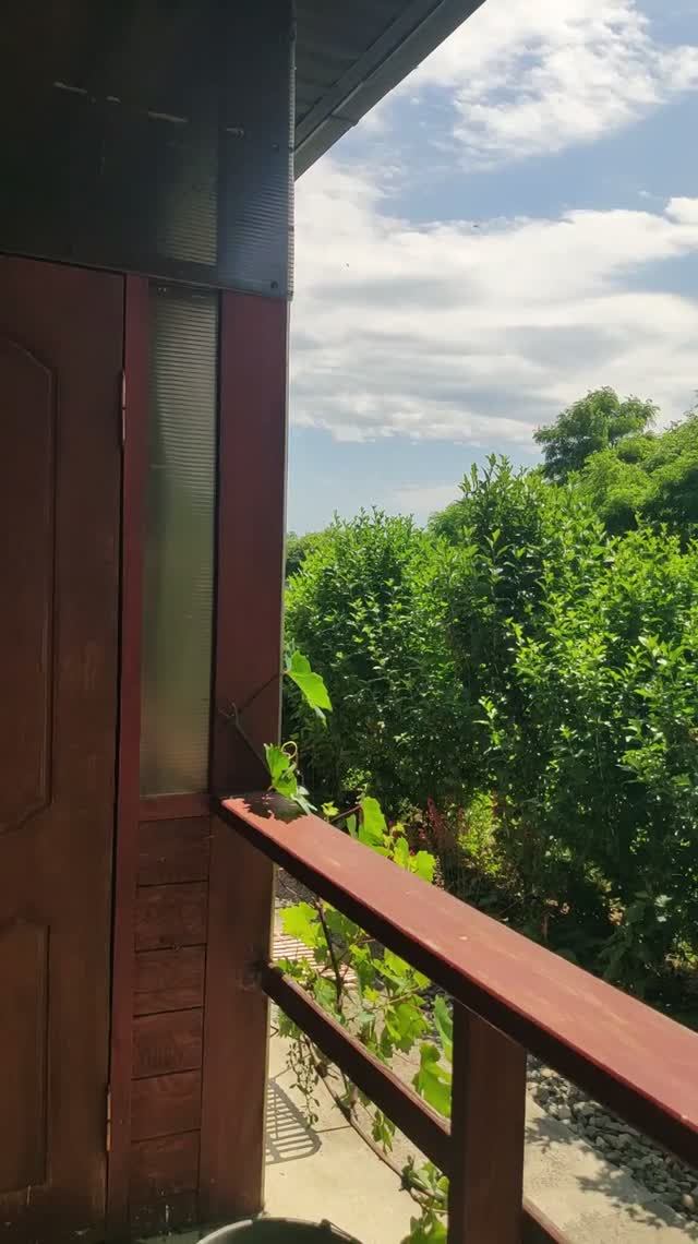 Хуторские будни