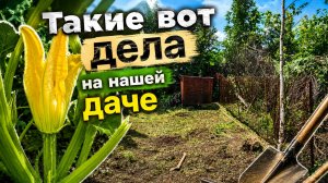 ТАКИЕ ВОТ ДЕЛА НА НАШЕЙ ДАЧЕ
