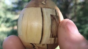 Шкатулка в июльском лесу на берёзовой сувели
