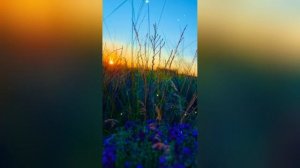 Зачем человечку ночник