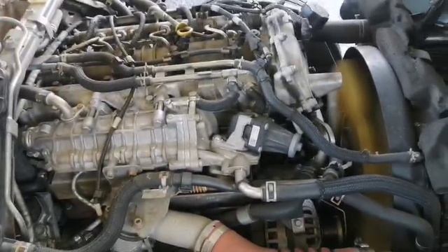 5616.mp4 смотреть онлайн