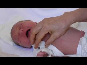 ВЫПИСКА ИЗ РОДДОМА. РОДДОМ №3. Г. Чебоксары