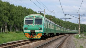 БМО. Поездка на ЭД4М-0046 летом 2024 года