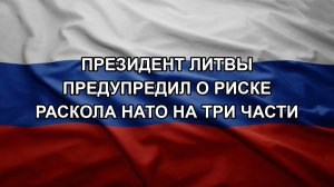 Президент Литвы предупредил о риске раскола НАТО на три части