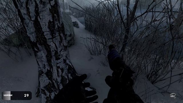 #AloneInWindstorm#FallenBear смотреть онлайн