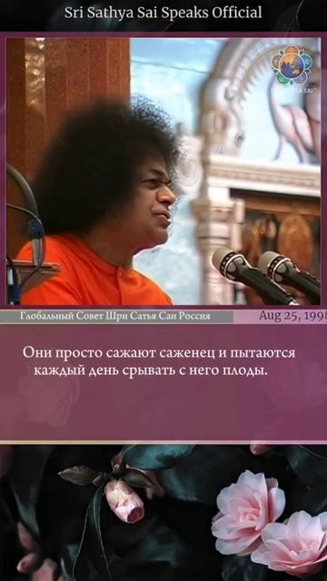 Единственный способ взрастить любовь.  Шри Сатья Саи говорит  25 августа 1998 г.