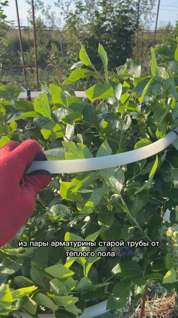Освоение ГЕКТАРА с нуля