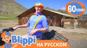 Кантри-Песня про Ранчо _ Обучающие песни для детей _ Blippi Russian
