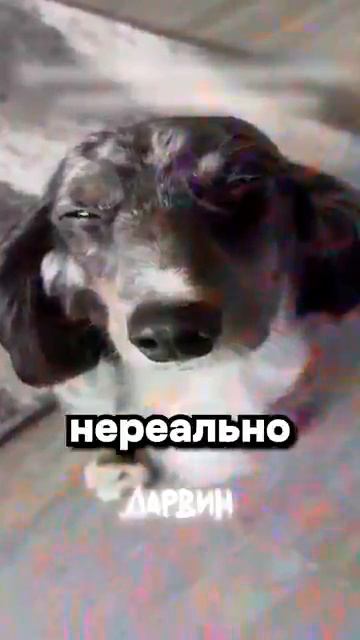 Нашел запрещенку