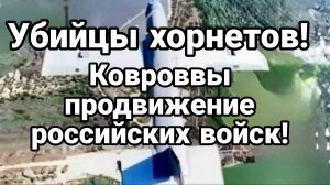 УБИЙЦЫ ХОРНЕТОВ! КОВРОВЫЕ ПРОДВИЖЕНИЯ РОССИЙСКИХ ВОЙСК