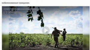 Правда о пытках в украинской армии вышла наружу

В Эстонии обсуждают скандальный полк «Скеля»,
