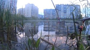 Городской карьер,  рыбалка