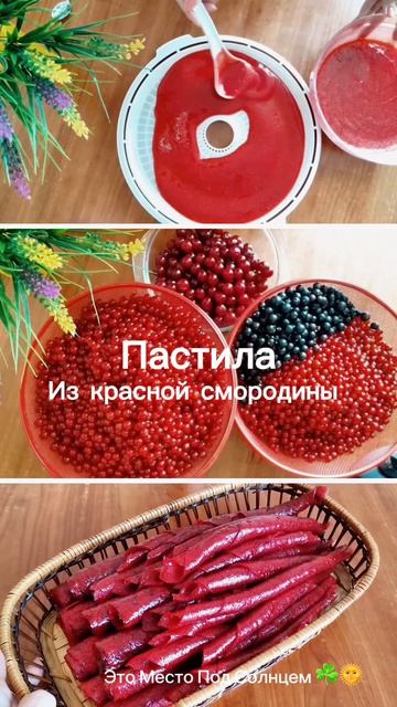 Пастила