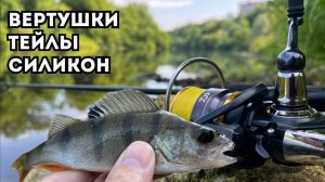 Спиннинг с берега. Блесна и силикон