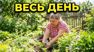 ДАЧА/КТО КАК РАБОТАЕТ ТОТ ТАК И ОТДЫХАЕТ/СУББОТА В УДОВОЛЬСТВИЕ ВЕСЬ ДЕНЬ В РАБОТЕ И ТРУДАХ ЧИСТОТА
