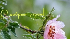 УТРЕННЯЯ ПОЧТА! БОРЬБА С КВН СЛОВНО С ВЕТРЯНЫМИ МЕЛЬНИЦАМИ! ВАСЕВСКИЙ-БЛОГЕР?😂
