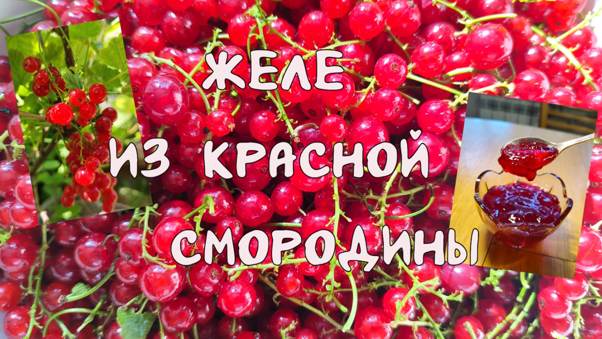 Желе из Красной смородины. Готовить одно удовольствие.