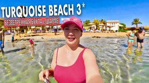 Египет 2025. ПЕРВАЯ линия БЮДЖЕТНО❗️ Turquoise Beach Hotel 3*. Безветренная бухта. Шарм Эль Шейх