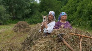 🌿 Скосили поле… но это было только начало