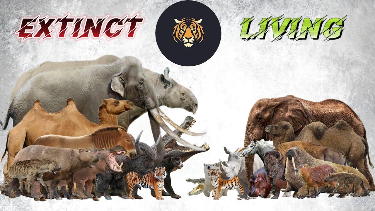 Animals Size Comparison LİVİNG EXTİNCT смотреть онлайн