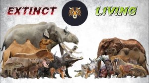 Animals Size Comparison LİVİNG EXTİNCT
