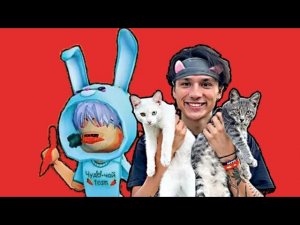 Песня про котят (Серега и Кокос) x Песня про морковь (mashup)