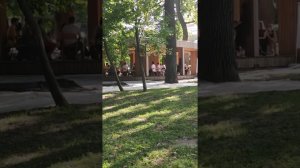 Африканская этно музыка в Москве)