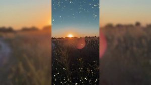 Закатные переливы