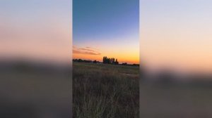 Поле В Золоте Заката Вирал