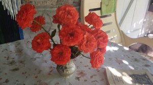 июльский день, пирожки в летней кухне, черенкую розы, обед под дождем