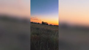 Поле В Сиянии Заката Топ