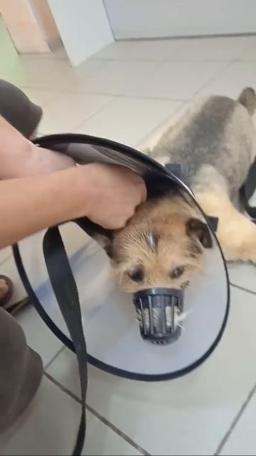 Нужна Ваша помощь