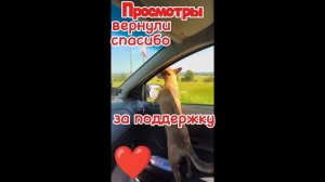 04-07-2026 Идём дальше 🤝