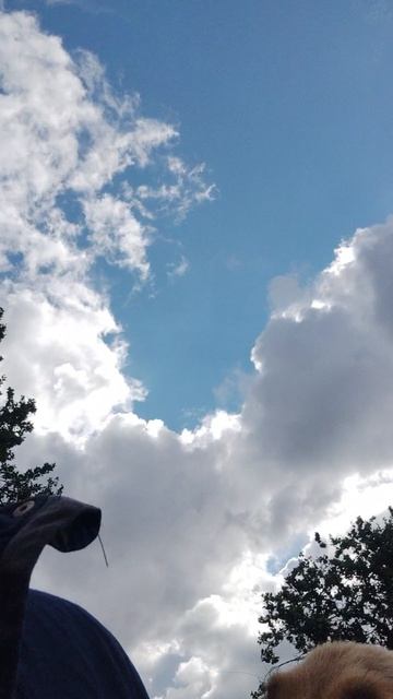 видео из Ричард like смотреть онлайн