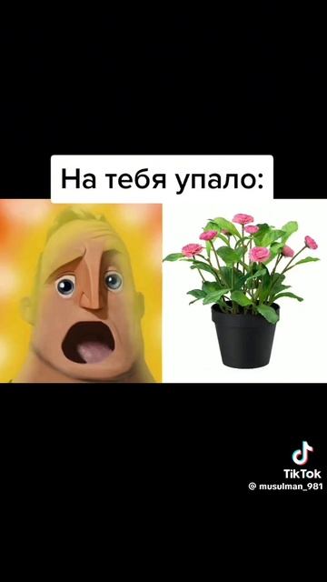 На тебя упало с неба: смотреть онлайн