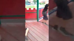 Игра в крокодила